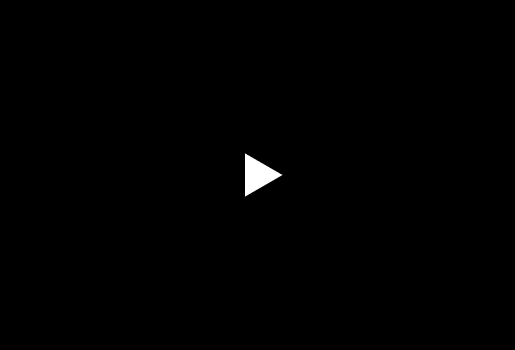 Video 1-image